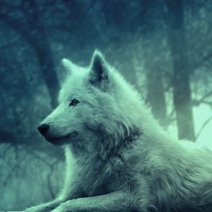 Meet your Posher, Aj